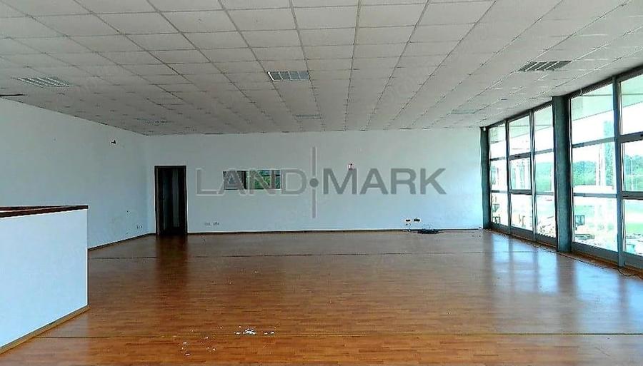 Spațiu comercial, în Lugojului