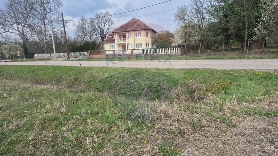 Teren de 5000 mp, în Sud