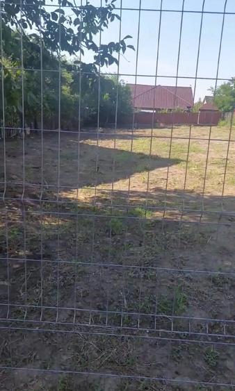 Teren de 1024 mp, în Schela