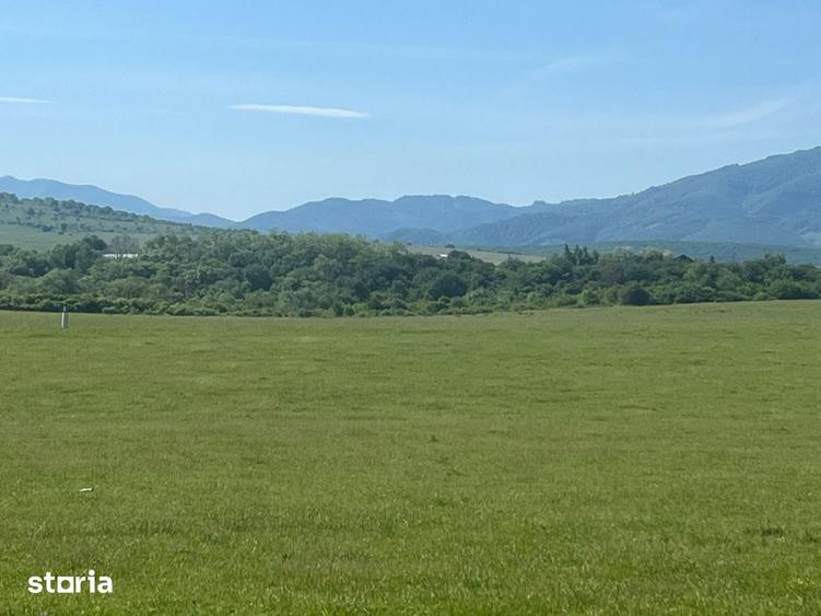 Teren de 400 mp, în Central