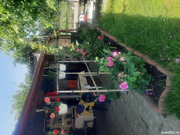 Casă cu 3 camere cu Teren 1300 Mp în Bretea Mureșană