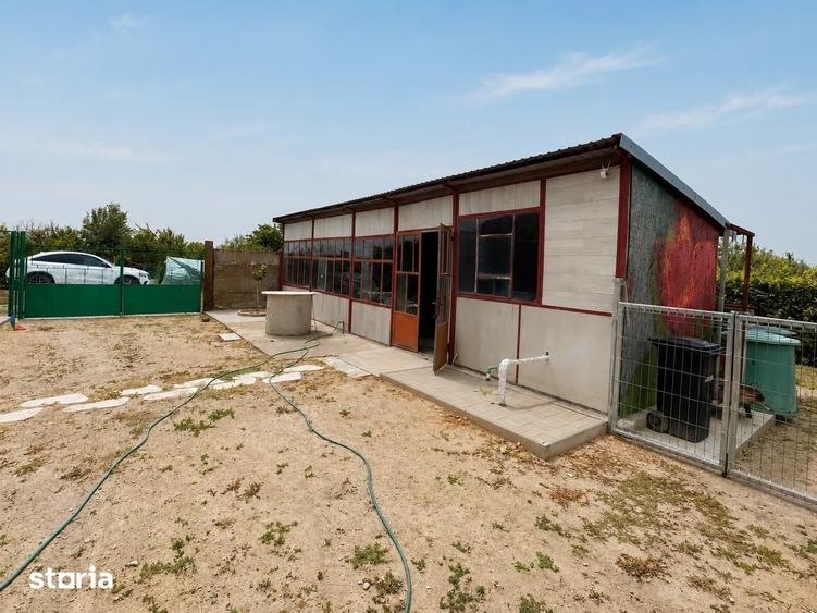 Casă cu Teren 3000 Mp în Foeni