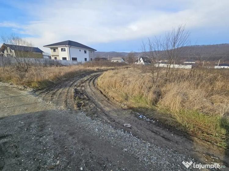 Teren în Bascov