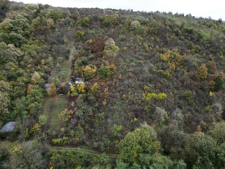 Teren de 18300 mp, în Ghioroc
