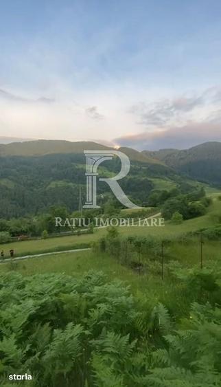Teren de 10900 mp, în Căbești