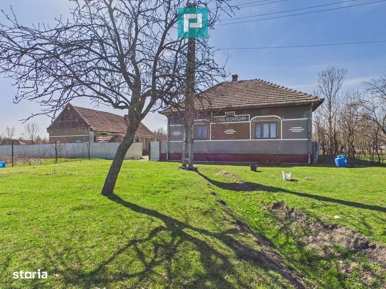 Casa cu teren de 6000 mp in Duboz, Timis - 8