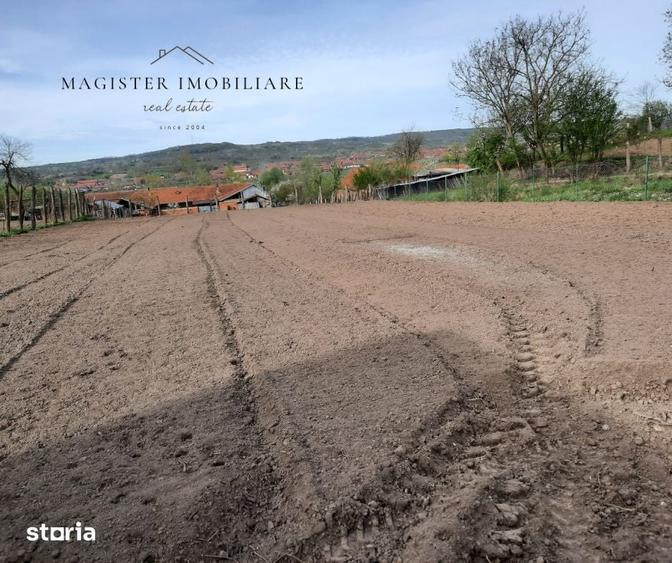 Casă cu 5 camere cu Teren 1600 Mp în Zorlențu Mare