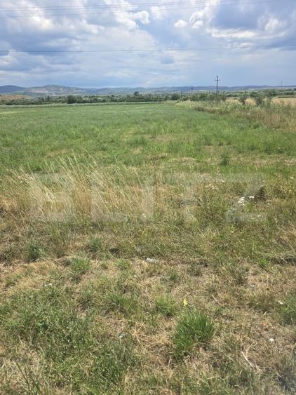 Teren agricol extravilan de 49975 mp, în Urvind