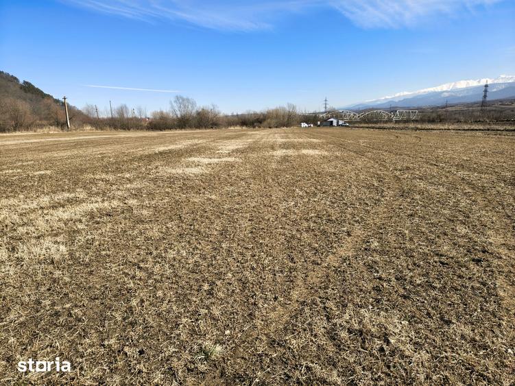 Teren de 2800 mp, în Turnu Roșu
