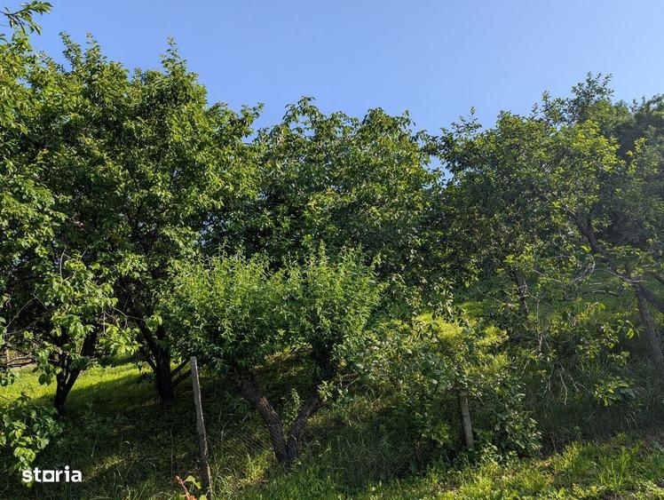 Casă cu 4 camere în Cotnari