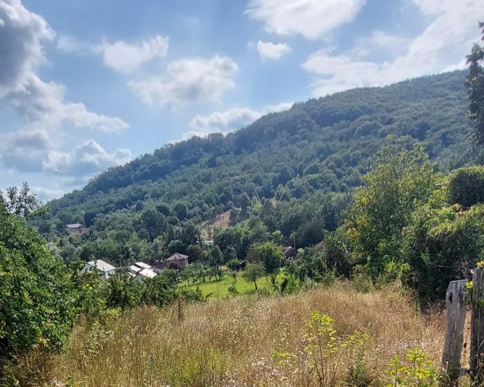 Teren de 1000 mp, în Mălureni