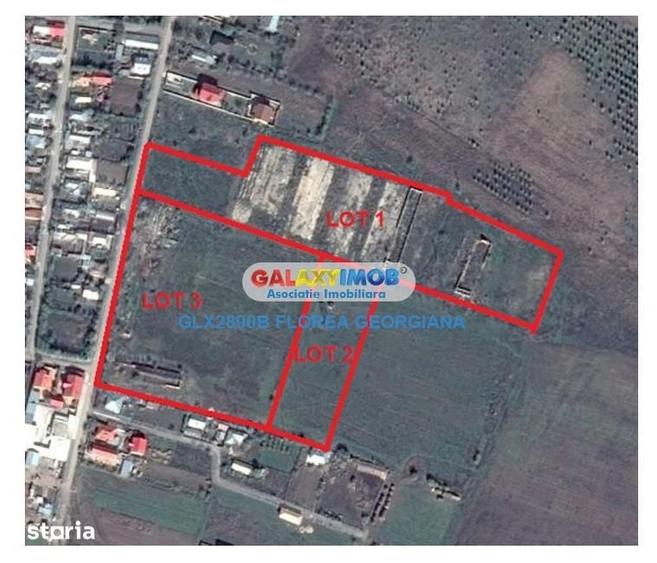 Teren de 49000 mp, în Cernica