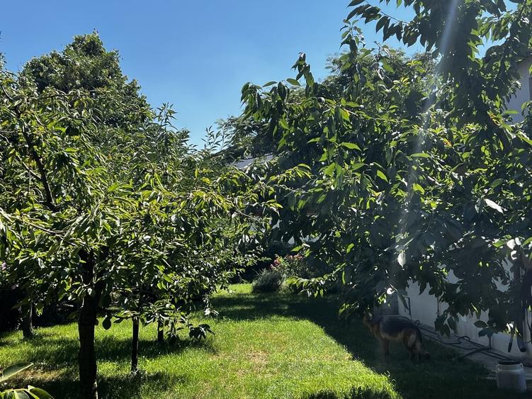 Casă cu 6 camere cu Teren 700 Mp în Corbeanca