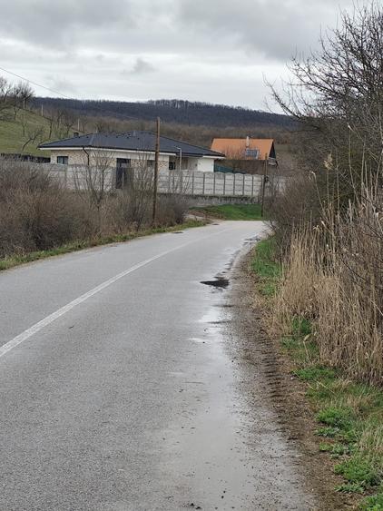 Teren agricol extravilan de 1300 mp, în Giula