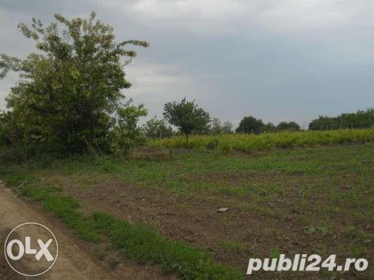Teren de 2800 mp, în Central