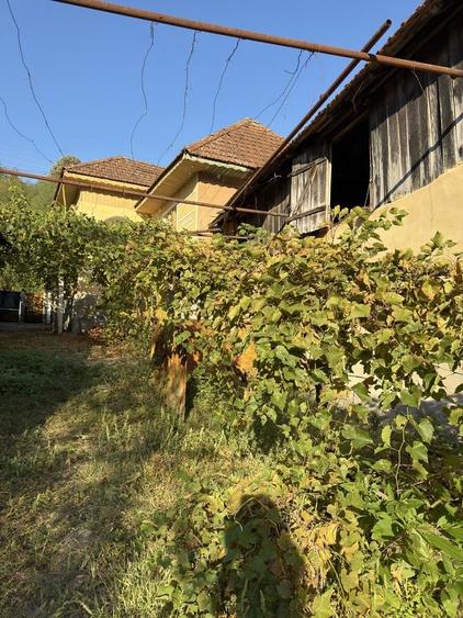 Casă cu 3 camere în Pârâu