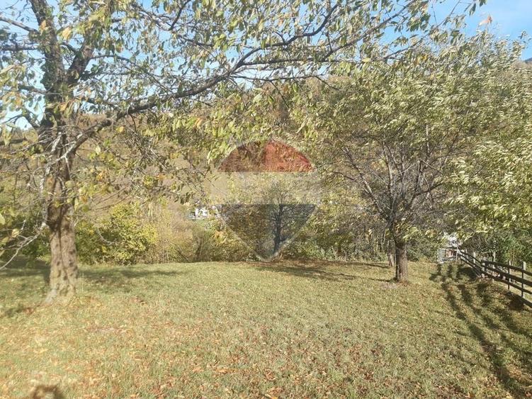 Teren agricol intravilan de 3658 mp, în Bran