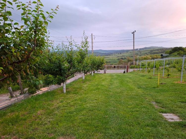 Casă individuală cu 3 camere cu Canalizare în Jugureni
