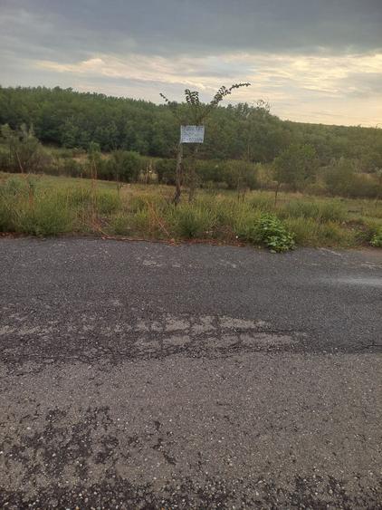 Teren de 7400 mp, în Balș