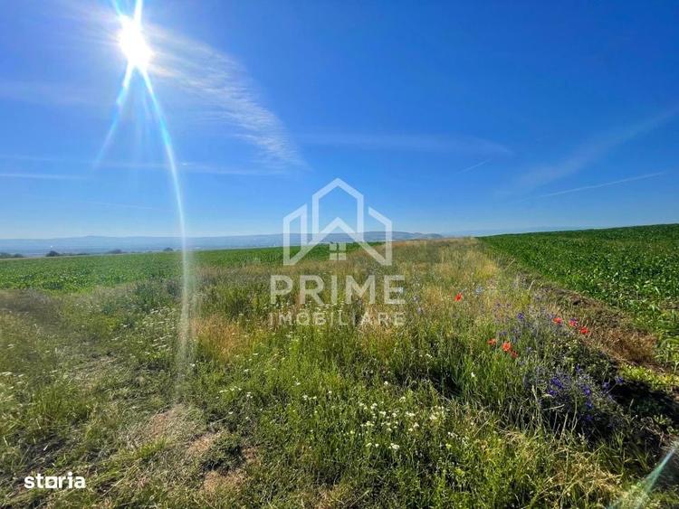 Teren extravilan | 2700 mp | Paclisa | Alba Iulia - 1