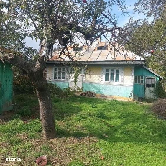 Casă cu 2 camere în Central