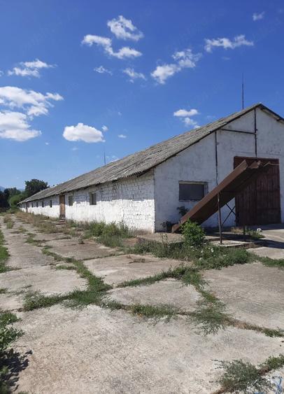 Spațiu comercial, de 996 mp, în Mândra