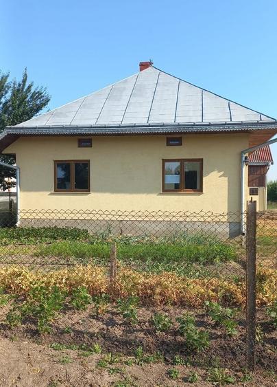 Casă cu 3 camere în Arbore