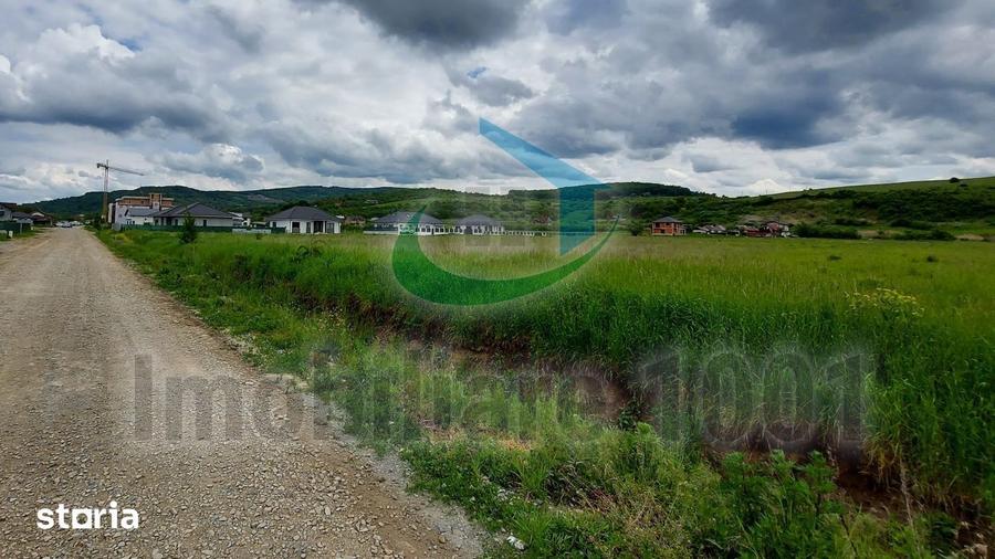 Repozitionare pret oferta: Teren intravilan 6214 mp, Zavoaie, Bistrita - 1