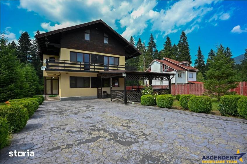 FILM!Resedinta cu farmec montan, domeniu de 1.700 mp,cadru select,Timi - 12
