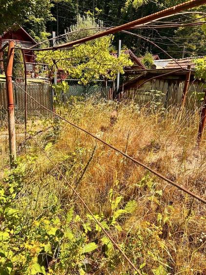 Teren de 83 mp, în Pădurea Neagră