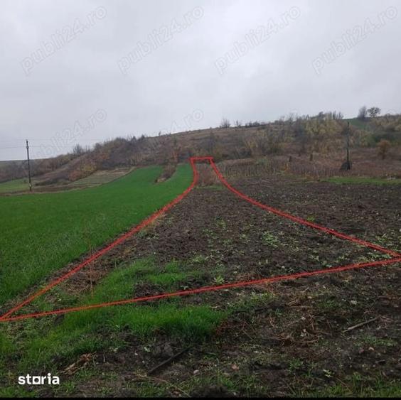 Teren de 1080 mp, în Schitu