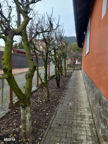 Casă cu 3 camere cu Teren 500 Mp în Central