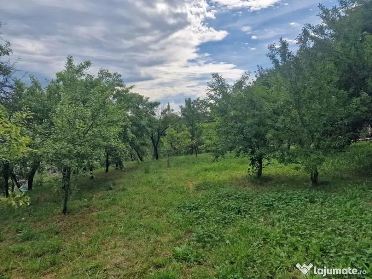 Teren în Albota