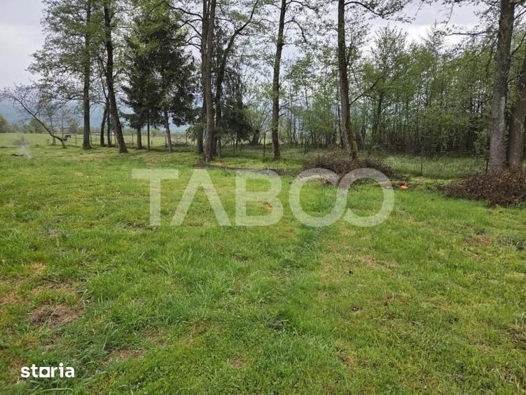 Teren intravilan de vanzare 1360 mp la poalele muntilor Fagaras - 2