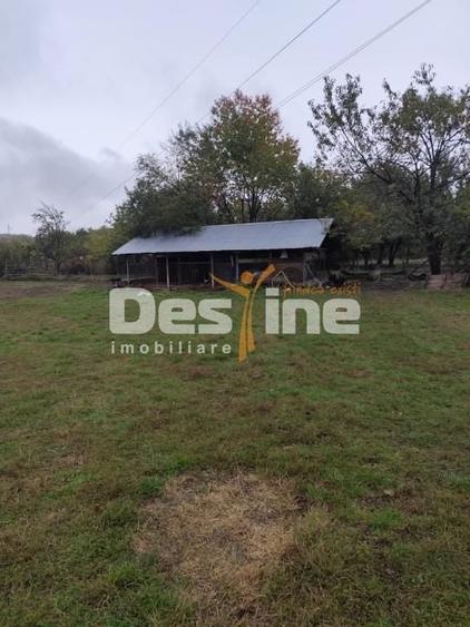 Casă cu 6 camere cu Teren 11250 Mp în Ștubeiu