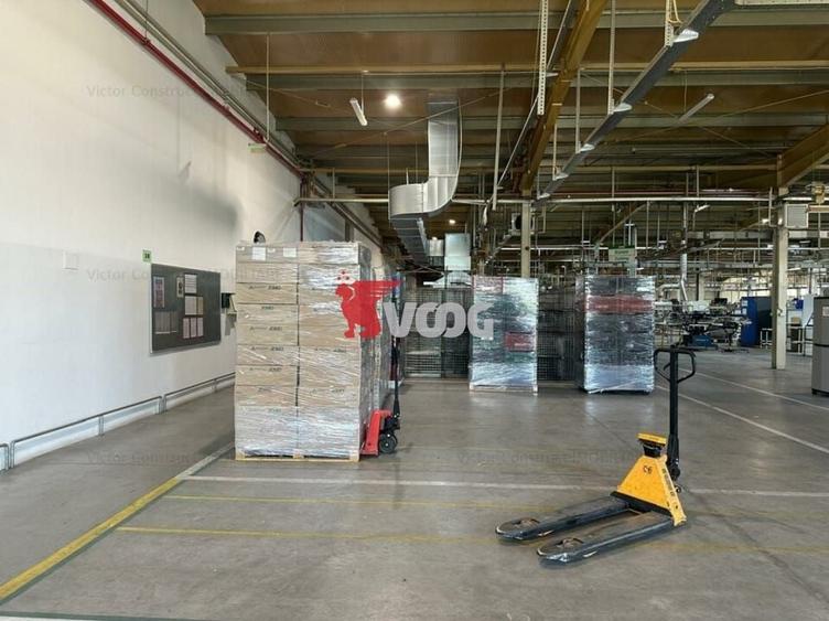Spațiu industrial, de 7,250 mp, în Șagului