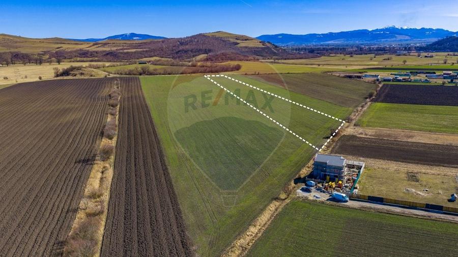 Teren agricol extravilan de 21893 mp, în Bod