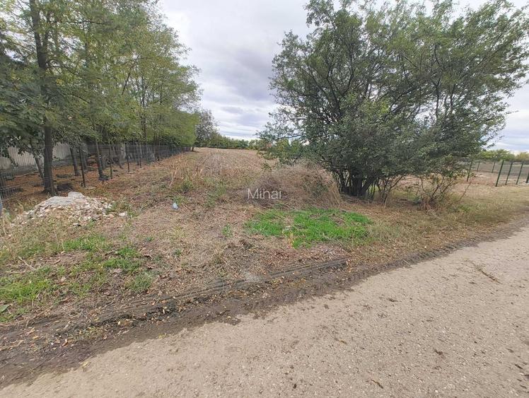 Teren intravilan 3.700 mp de vanzare Bara, comuna Balta Doamnei, Prahova