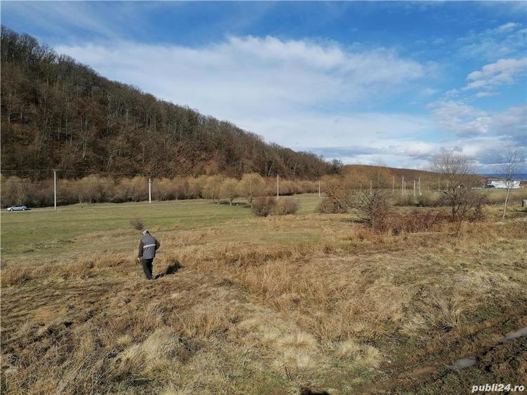 Teren de 3800 mp, în Crizbav