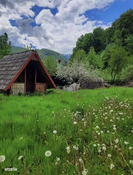 Teren intravilan 800 mp Darste Brasov - 4