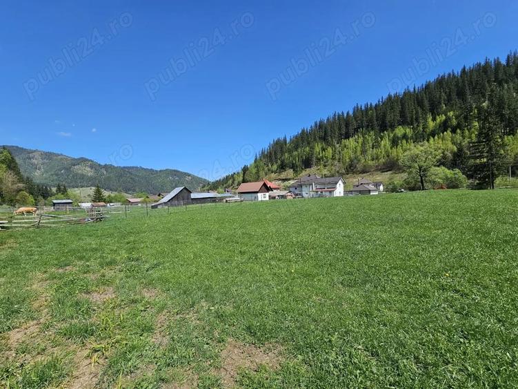 Teren de 5350 mp, în Pojorâta