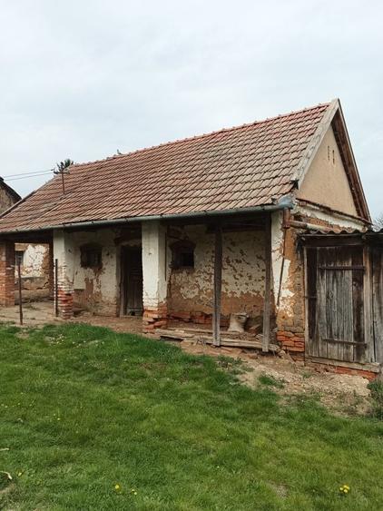 Casă cu 2 camere în Albiș