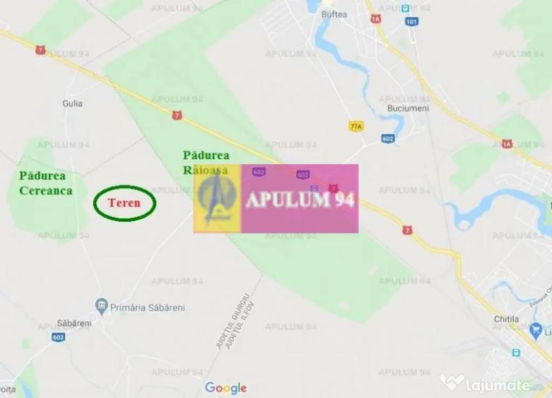 Teren de 16400 mp, în Săbăreni