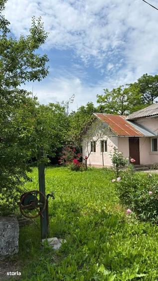 Casă cu 4 camere în Ciupa-Mănciulescu