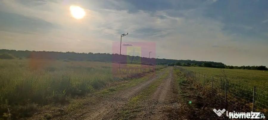 Teren în Săbăreni
