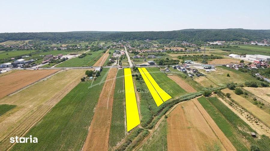 Teren cu potential de dezvoltare 7427 mp in Argeselu, Maracineni, j - 5
