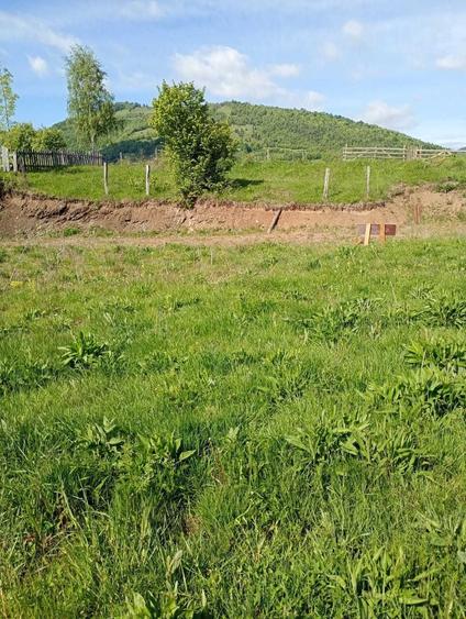Teren de 2000 mp, în Central