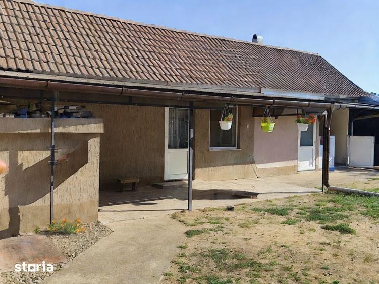 Casa la tara in Sacadat, Bihor, teren 2826 mp, acces auto - Vanzare - 16