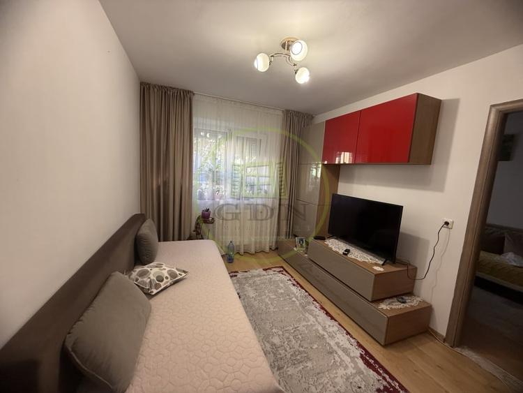 Apartament cu 2 camere semidecomandat, mobilat în Valea Rosie