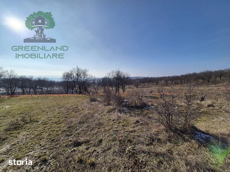 Teren de 560 mp, în Bârnova
